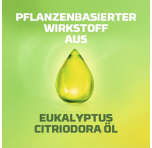 Pflanzenbasierter Wirkstoff aus Eukalyptus Citriodora Öl