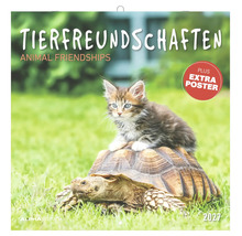 Wandkalender 2027 Tierfreundschaften mit einem Kätzchen auf einer Schildkröte, inklusive Poster, Alpha Edition Logo.