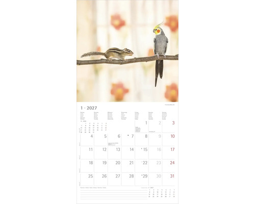 Kalenderblatt für Januar 2027 mit einem Streifenhörnchen und einem Nymphensittich auf einem Ast.