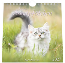 Wandkalender 2027 Kleine Samtpfötchen mit flauschigem Kätzchen im Gras, Alpha Edition Logo.