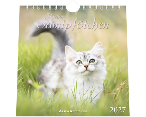 Wandkalender 2027 Kleine Samtpfötchen mit flauschigem Kätzchen im Gras, Alpha Edition Logo.
