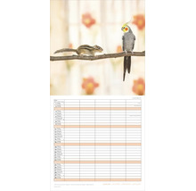 Wandkalender Januar mit Motiv eines Streifenhörnchens und eines Nymphensittichs auf einem Ast über einem Terminplaner.