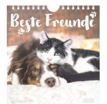 Wandkalender 2027 mit dem Titel Beste Freunde zeigt eine Katze die ihren Kopf auf einen Hund legt. Alpha Edition Logo.