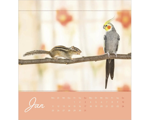 Kalenderblatt Januar mit einem Streifenhörnchen und einem Nymphensittich auf einem Ast.