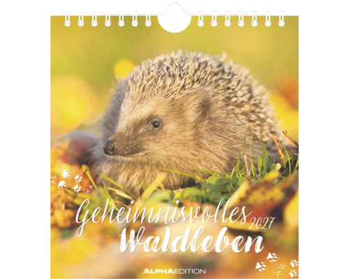 Wandkalender 2027 Geheimnisvolles Waldleben mit einem Igel im Gras und Herbstlaub.
