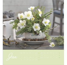 Kalenderblatt für Januar mit einem winterlichen Gesteck aus Christrosen, Tannenzweigen und Zapfen in einer Keramikschale.