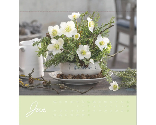 Kalenderblatt für Januar mit einem winterlichen Gesteck aus Christrosen, Tannenzweigen und Zapfen in einer Keramikschale.
