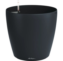 Runder Pflanztopf Lechuza Classico in Schwarz mit integriertem Bewässerungssystem und Wasserstandsanzeiger.