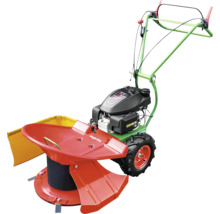Agria Motormäher mit rotem Kreiselmähwerk, grünem Rahmen und schwarzem Motor.