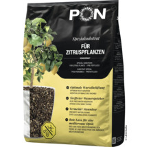 Lechuza PON Spezialsubstrat für Zitruspflanzen in einer Verpackung mit Abbildung eines Zitronenbaums. Vorgedüngtes, torffreies Mineralsubstrat.