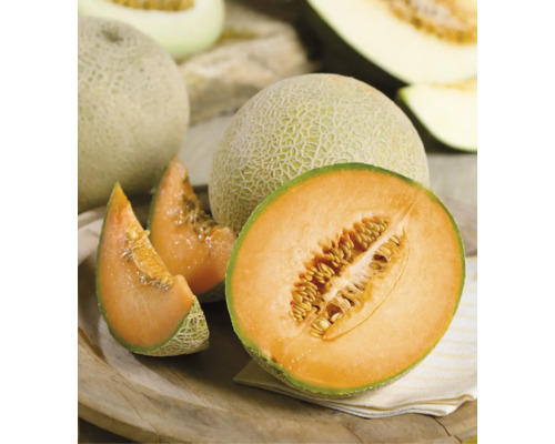 Ganze und aufgeschnittene Cantaloupe-Melone mit orangefarbenem Fruchtfleisch und Kernen auf einem Holzteller.