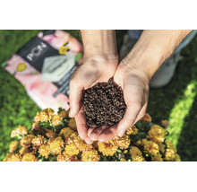 Hände halten mineralisches Pflanzsubstrat vor einem Sack Lechuza-Pon und gelben Blumen im Garten.