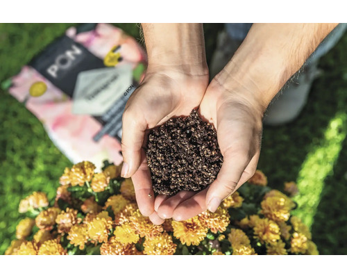 Hände halten mineralisches Pflanzsubstrat vor einem Sack Lechuza-Pon und gelben Blumen im Garten.