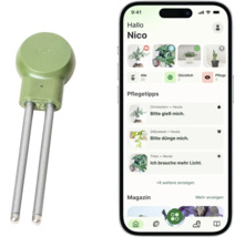 FYTA Beam Pflanzensensor mit Smartphone und App für die Pflanzenüberwachung und Pflegetipps.