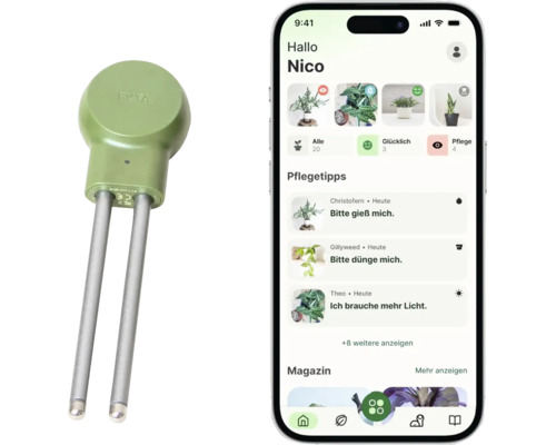 FYTA Beam Pflanzensensor mit Smartphone und App für die Pflanzenüberwachung und Pflegetipps.