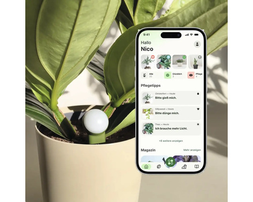Intelligenter Pflanzensensor in einem Blumentopf neben einem Smartphone mit einer App zur Pflanzenpflege.