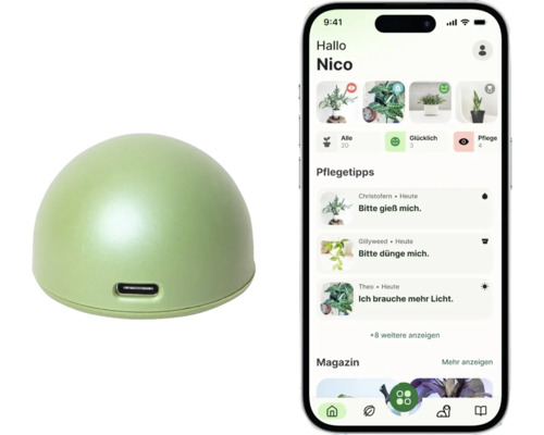 Grüner kuppelförmiger Pflanzensensor mit USB C Anschluss und Smartphone mit App für Pflegetipps und Überwachung.