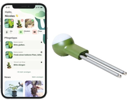 Smarter Pflanzensensor mit zwei Sonden und Smartphone-App für Pflegetipps wie Gießen und Düngen.