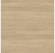 Holzdekor mit horizontaler Maserung für Bodenbeläge oder Möbeloberflächen.