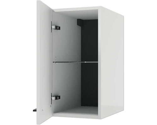 Hängeschrank mit geöffneter Tür, einem Glaseinlegeboden und dunkler Rückwand.