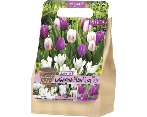 Rembrandt Starter Kit Lasagna Planting mit Blumenzwiebeln von Krokussen, Tulpen und Hyazinthen für die schichtweise Pflanzung.