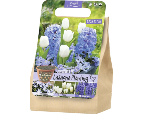 Monet Logo. Starterset Lasagna Planting mit Blumenzwiebeln von Chionodoxa, Tulpen und Hyazinthen. Pflanzschema für Schichten, Blütezeit Februar bis April.