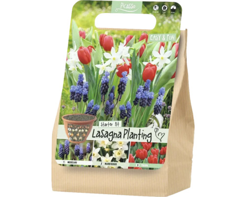 Picasso Lasagna Planting Starter Kit zur Etagenbepflanzung mit Muscari-, Narzissen- und Tulpenzwiebeln.