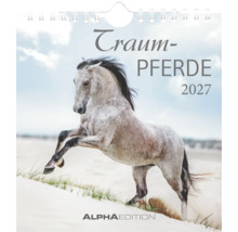 Kalender Traumpferde 2027 zeigt ein steigendes Schimmelpferd in einer hellen Dünenlandschaft. ALPHAEDITION Logo.
