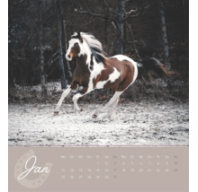 Wandkalenderblatt für Januar mit einem galoppierenden Schecken in einer frostigen Winterlandschaft vor Bäumen.