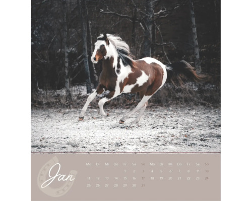 Wandkalenderblatt für Januar mit einem galoppierenden Schecken in einer frostigen Winterlandschaft vor Bäumen.