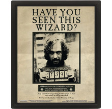 Harry Potter Poster Sirius Black Steckbrief Have You Seen This Wizard im schwarzen Rahmen