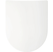 WC-Sitz Deckel in D-Form