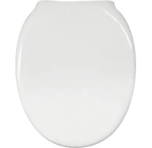 WC-Sitz mit Deckel in Weiß, ovale Form, glatte Oberfläche.