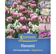 Kiepenkerl Blumenzwiebelmischung Hanami MegaPack mit 25 Stück, inklusive Tulpen, Narzissen, Krokusse, Hyazinthen und Anemonen. Kiepenkerl Logo.
