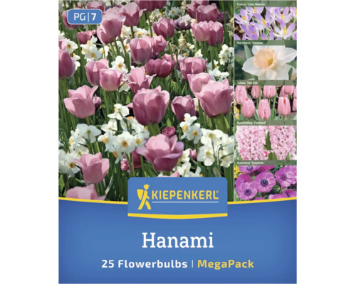 Kiepenkerl Blumenzwiebelmischung Hanami MegaPack mit 25 Stück, inklusive Tulpen, Narzissen, Krokusse, Hyazinthen und Anemonen. Kiepenkerl Logo.