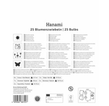 Rückseite der Hanami Blumenzwiebelverpackung mit 25 Stück, Informationen zu Standort, Topf, Insektenfreundlichkeit, Inhaltsliste und FSC Logo.