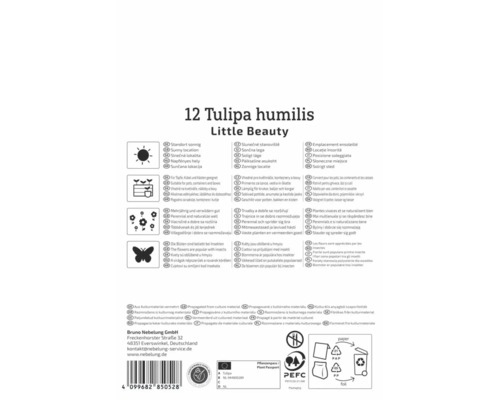 Rückseite der Packung für 12 Tulipa humilis Little Beauty Blumenzwiebeln mit Pflanzanweisungen, Symbol für sonnigen Standort und PEFC Logo.