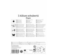 Rückseite Allium schubertii Magic Packung: sonniger Standort, mehrjährig, Schnittblume, insektenfreundlich, PEFC Logo und Bruno Nebelung Logo.