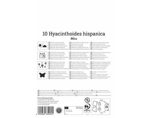 Rückseite der Packung für 10 Hyacinthoides hispanica Mix mit Infos zu Standort, Pflanzung, mehrjährigem Wuchs, Insektenfreundlichkeit und PEFC Logo.