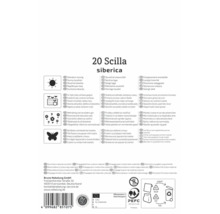 Rückseite der Verpackung für 20 Scilla siberica mit Pflegehinweisen, Symbolen für sonnigen Standort, Kübeleignung, mehrjährig und PEFC Logo.