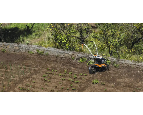 Motorhacke auf einem bestellten Feld mit jungen Pflanzen und einer Steinmauer im Hintergrund.
