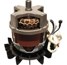Elektromotor für Rasenmäher mit Gewindewelle, sichtbarer Kupferwicklung, Kondensator und schwarzem Lüfterrad.