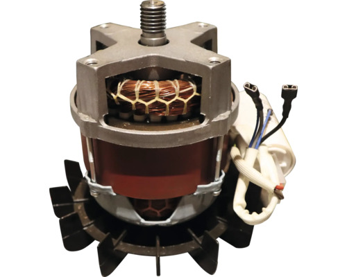 Elektromotor für Rasenmäher mit Gewindewelle, sichtbarer Kupferwicklung, Kondensator und schwarzem Lüfterrad.