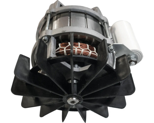 Elektromotor mit sichtbaren Kupferwicklungen, schwarzem Lüfterrad und Kondensator.