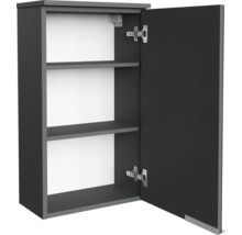 Dunkelgrauer Bad-Wandschrank mit geöffneter Tür und zwei Einlegeböden.