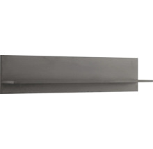 Wandregal mit Rückwand und schmaler Ablagefläche aus Holzwerkstoff.