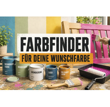 Farbfinder für deine Wunschfarbe: Verschiedene Farbdosen, Pinsel und eine Farbrolle auf einem Holztisch vor einer Holzbank.