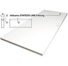 Türblatt inklusive SYNTESIS LINE Fräsung mit technischen Zeichnungen und Maßangaben für die Nut.