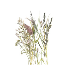 Wandbild mit Aquarell-Illustration von verschiedenen Wildblumen und Gräsern.
