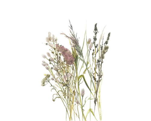 Wandbild mit Aquarell-Illustration von verschiedenen Wildblumen und Gräsern.